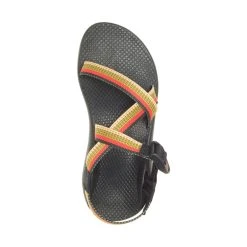 Chaco Z/1 Classic - Women's -Osprey shop CHAW JCH109048 042721 S22 TOP rsz 89413.1647622253