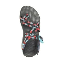 Chaco ZX/2 Classic - Women's -Osprey shop CHAW JCH109056 042721 S22 TOP rsz 83445.1647622626