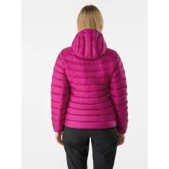 Arc'teryx Cerium Hoody - Women's -Osprey shop Cerium Hoody Synth Women s Back View rsz 00462.1675992634