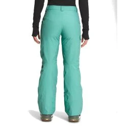 The North Face Freedom Insulated Pant - Women's -Osprey shop NF0A5ACY 6R7 back rsz 01423.1676668814