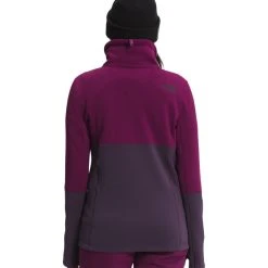 The North Face Tagen 1/4 Zip Fleece - Women's (Fall 2021) -Osprey shop NF0A5ADD 1M8 back rsz 39405.1676668343